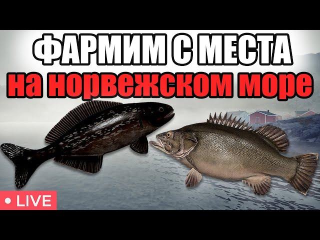 РР4 • ФАРМИМ СЕРЕБРО НА НОРВЕЖСКОМ МОРЕ • РОЗЫГРЫШИ • РУССКАЯ РЫБАЛКА 4