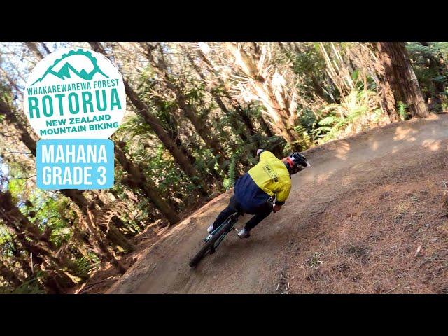 The newest flow trail that completes a new intermediate loop | Mahana, Rotorua