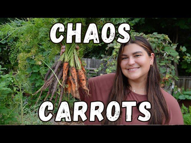 The EASIEST Way To Grow Carrots!