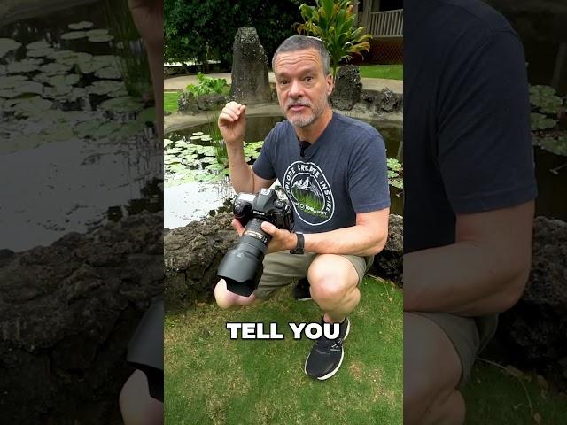 How would you photograph this pond?