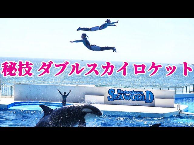 ダブルスカイロケットが美しすぎる!! 鴨川シーワールド シャチショー  Killer Whale Encounter at KamogawaSeaWorld!