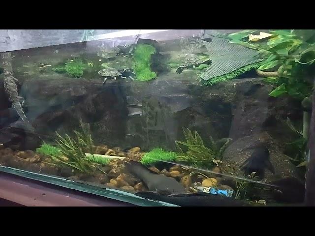 Snake Park Chennai || Guindy National Park Aquarium #childrenpark