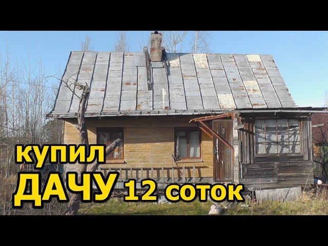 КУПИЛ ДАЧУ 12 СОТОК! Обзор участка