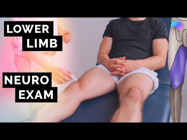 Lower Limb Neurological Examination | OSCE Guide | NEW | UKMLA | CPSA | PLAB 2