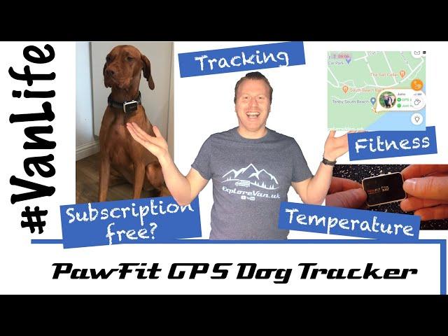 Pawfit GPS dog tracker - review