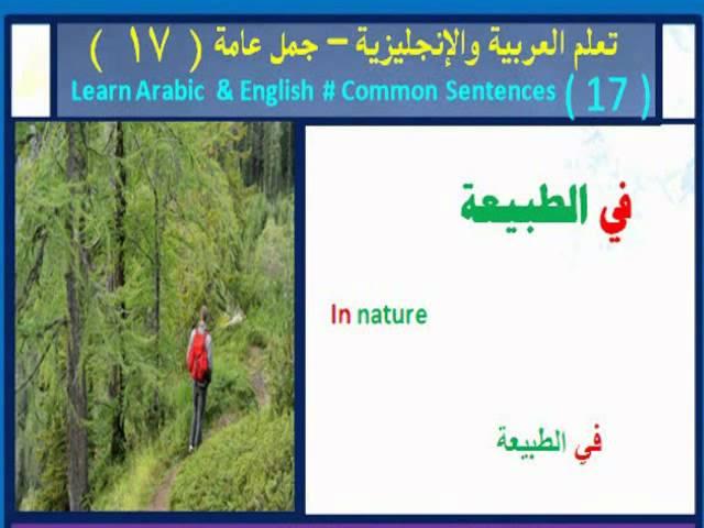 200 Arabic & English Sentences