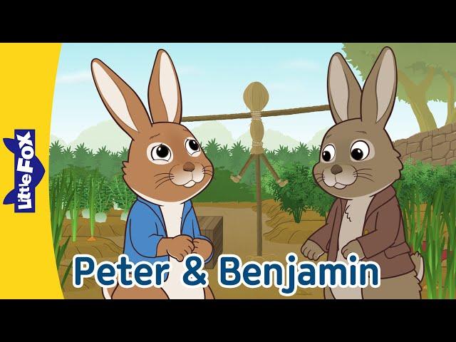 Tale of Peter Rabbit & Benjamin Bunny Full Story l 23 min. l Bedtime Stories l Little Fox