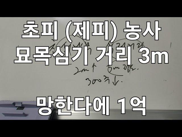 초피나무 300주 이하 망하는 이유 식재거리 3m 시간만 보내고 돈 안되는 제피 삽수클럽 가입후 공식 정보분석 종자 생산 소득창출 공유 세상에 공짜는 없지만 함께하는 유통은 있다.