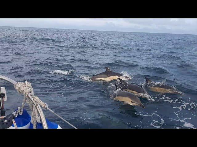 Sailing around Britain Ep6 The Jester Baltimore Challenge, Hurley 22 'Katrina' 300nm 4 days at sea