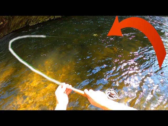 SUCCESS At The Hidden Creek! | Small Stream Fly Fishing For BROWN TROUT