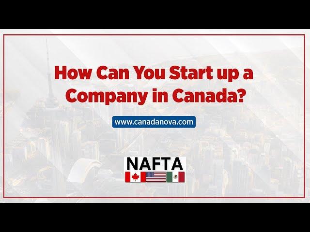 How Can You Start Up a Company in Canada? | Nova Group #canadanova#novagroupholding