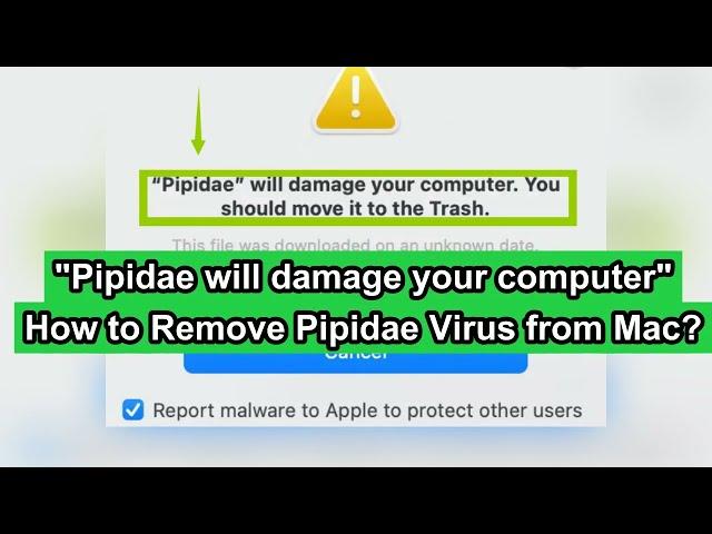 "Pipidae will damage your computer" Mac Malware - How to Remove Pipidae Malware from Mac OS?