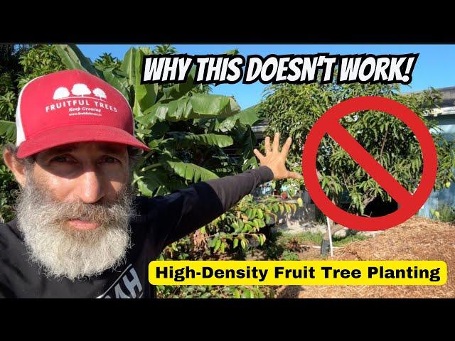 Why High Density Fruit Tree Planting Doesn’t Work Long Term