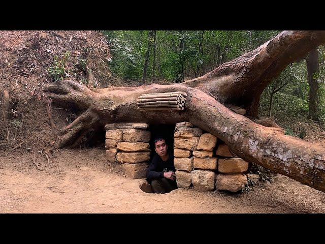 Building a Warm and Cozy Hollow for Survival, in the root of a fallen spruce. Underground House