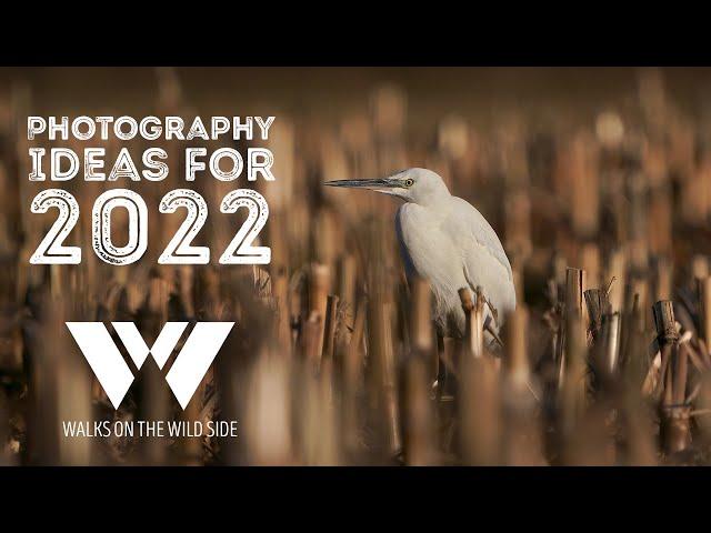 Ideas to improve your nature and wildlife photography in 2022