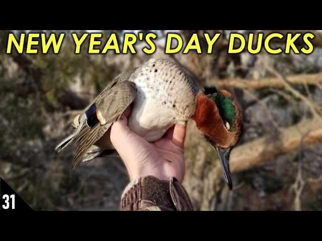 New Year's Day Ducks | Late Season Duck Hunting 2020