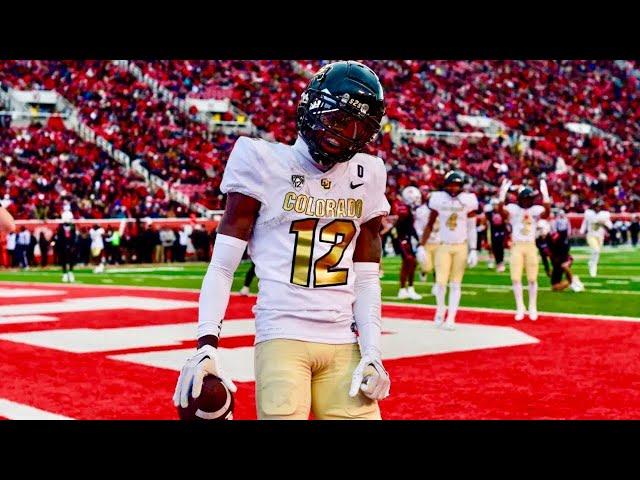 Travis Hunter 2024 Season Wide Receiver Highlights| Colorado WR/DB | NFL Draft Film