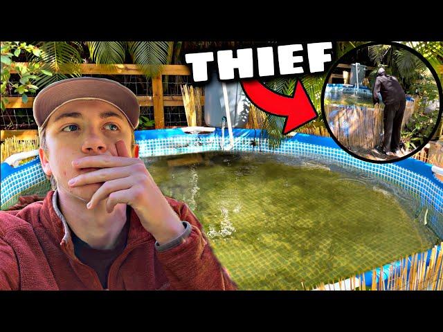 THIEF STOLE MY WHOLE FISH COLLECTION… (Caught On Camera)