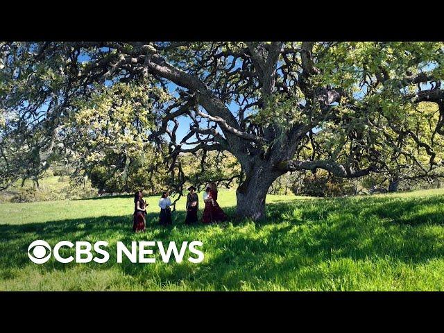 California announces largest land return in state's history