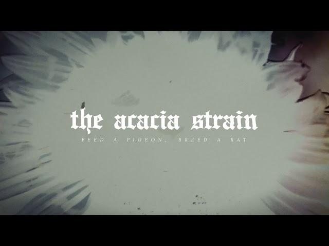 The Acacia Strain - Feed A Pigeon, Breed A Rat