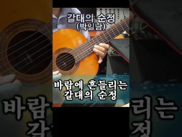 갈대의 순정 (박일남)
