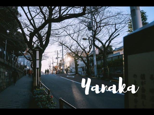 Tokyo | Day Trip to Yanaka & Walk to Senso-Ji 