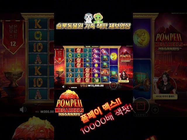 슬롯동물원 가족제보 폼페이 10000배 맥스 잭팟! 동전이 ㄷㄷ #슬롯 #슬롯잭팟 #slot #jackpot #shorts