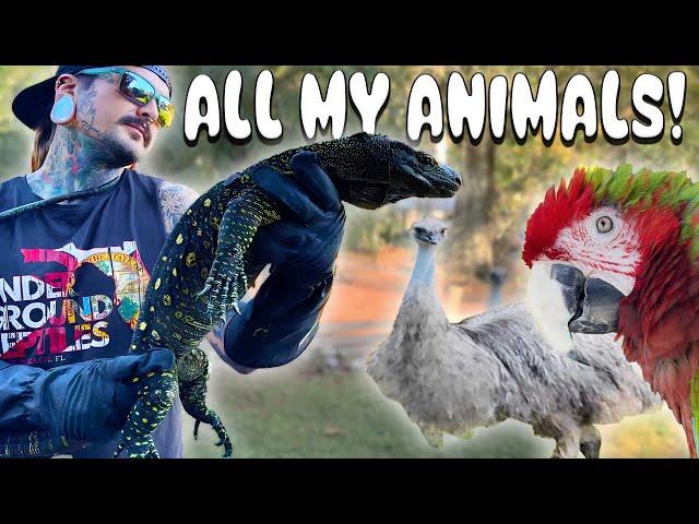 ALL OF MY ANIMALS IN ONE VIDEO! FULL RANCH TOUR