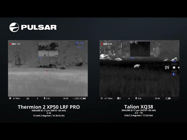 Pulsar Talion XQ38 vs Pulsar Thermion 2 XP50 Pro LRF