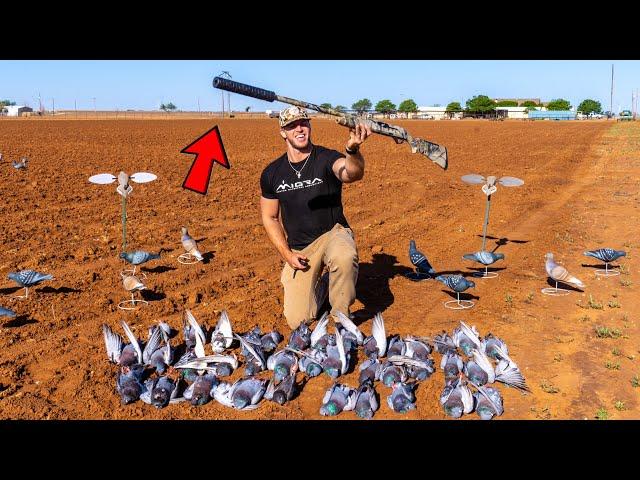 SILENCED 12 GAUGE SOLO PIGEON HUNT ON SMALL CATTLE FARM!