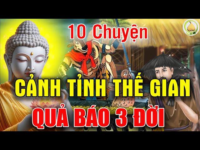 10 Chuyện Nhân Quả Nghe KHÔNG UỔNG Kiếp Người, Cảnh Tỉnh Thế Gian   Quả Báo 3 Đời .