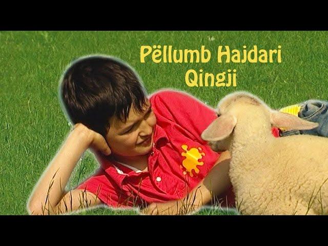 Pellumb Hajdari - Qingji