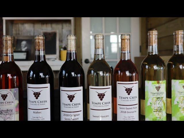 How much wine do you need to open a winery?