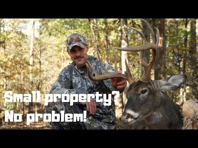 HOW TO KILL A BUCK ON 5 ACRES EVERY YEAR