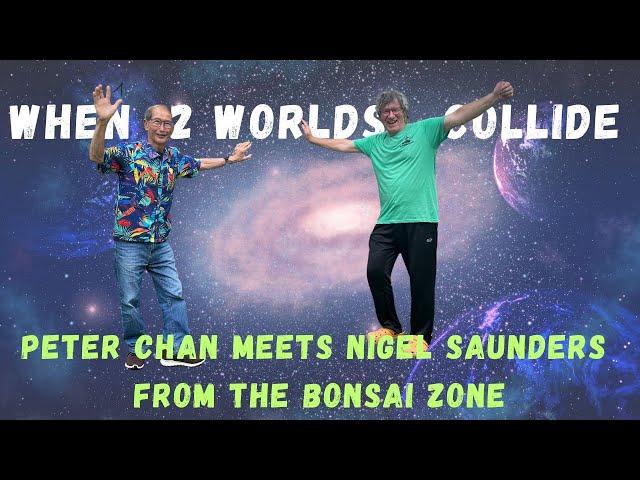 When Two Worlds Collide - Peter Chan Meets Nigel Saunders from The Bonsai Zone