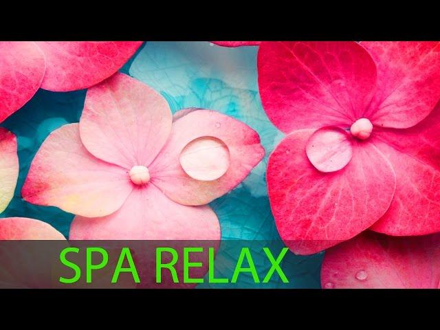 6 Hour Super Relaxing Spa Music: Meditation Music, Massage Music, Relaxation Music, Soothing 594