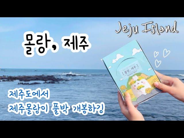 [ENG SUB] 제주도 몰랑이 풀박 개봉🫶 | 마지막 쿠키 있어요 | 2nd VLOG | Jeju Island Molang Figure | 말랑이랑