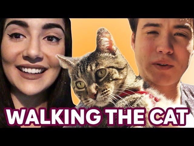 Walking Our Cat For The First Time • Saf & Tyler