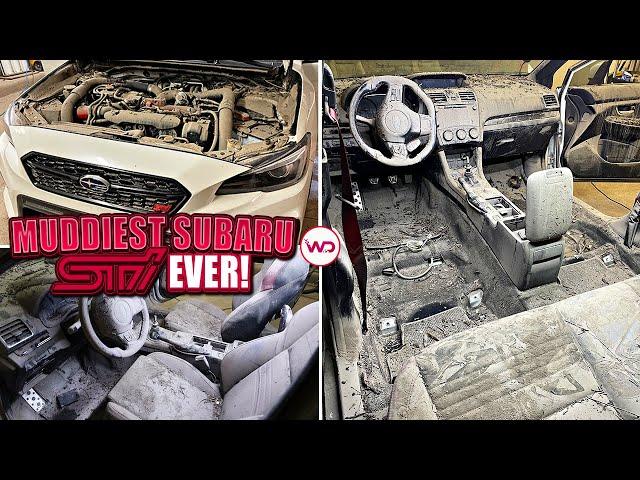 Deep Cleaning The Muddiest Subaru STI EVER! | Insane Satisfying DISASTER Detail Transformation!