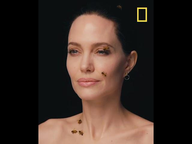 Angelina Jolie - Women for Bees