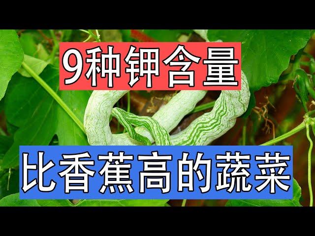 9种不打农药的绿色蔬菜，钾元素高过香蕉，夏季流汗没精神，补钾能让人精神饱满充满活力