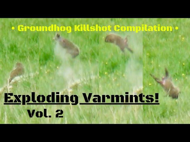 Groundhog Killshot Compilation...Exploding Varmints Vol. 2!!!