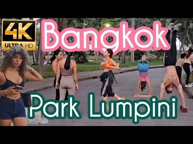 Lumpini ‍️‍️One of the best Park in Bangkok [4k 60fps]