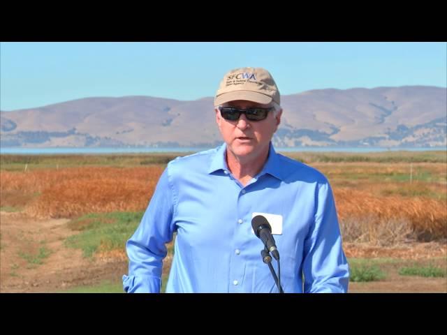 Tule Red, Grizzly Island Restoration Project