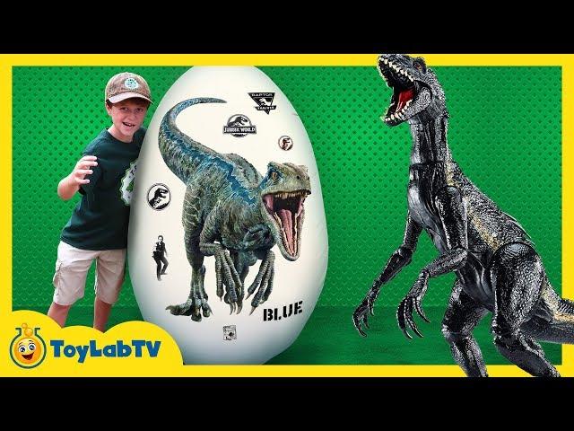 Giant Raptor Blue Dinosaur Egg! Surprise Toys & Dinosaurs For Kids from Jurassic World