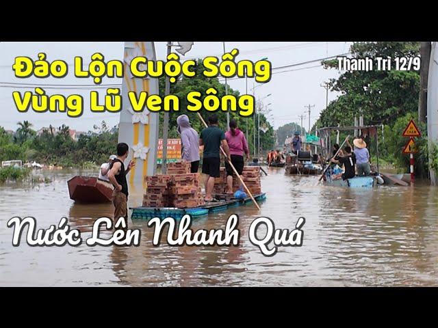 Sông Hồng Nước Lũ Dâng Sát Bờ Đê - Đảo Lộn Cuộc Sống Bà Con Vùng Lũ Ven Sông | Tuấn Nguyễn Csqt