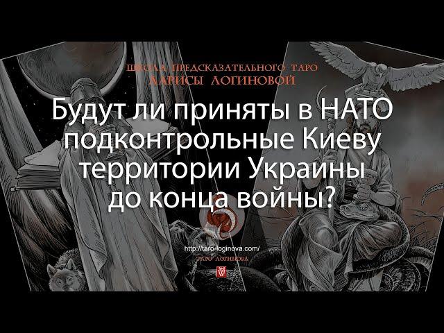 Будут ли приняты в НАТО подконтрольные Киеву территории Украины до конца войны?