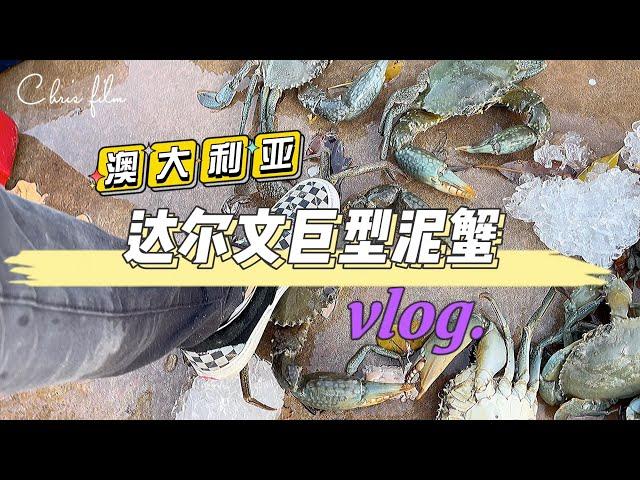 野外求生｜澳大利亚北领地旅拍｜达尔文巨型泥蟹｜带你玩东西｜澳洲旅游