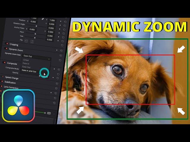 Paano Gamitin ang Dynamic Zoom | DaVinci Resolve Tutorial