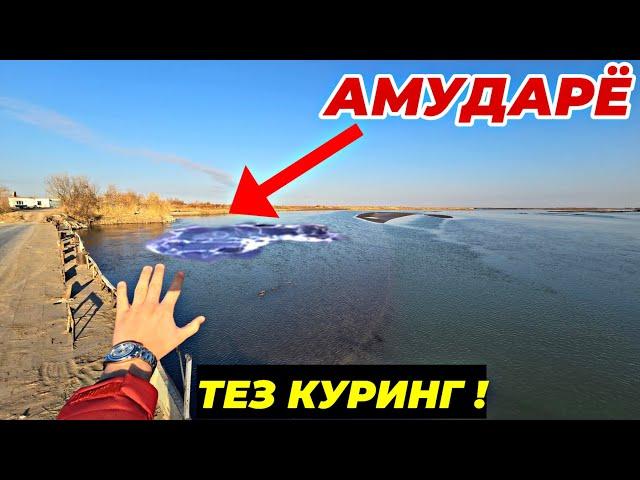 ДИККАТ! АМУДАРЁ НИМАЛАР БУЛЯБДИ!БУТУН УЗБЕКИСТАН КУРСИН! 21 ноября 2024 г.